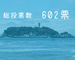 神奈川(602)